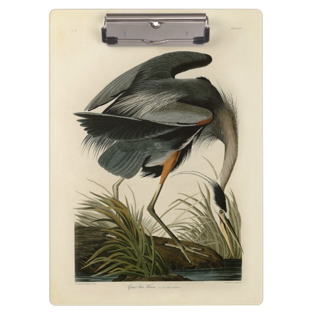 Audubon Great Blue Heron Marsh Bird Clipboard (Front)