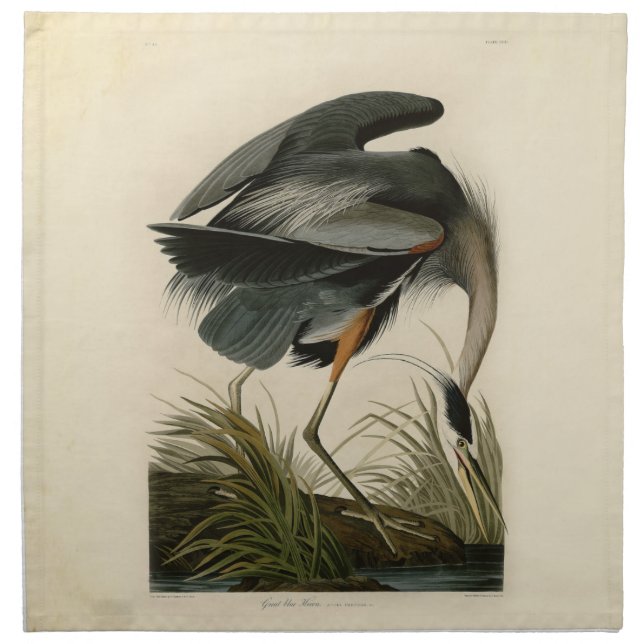 Audubon Great Blue Heron Marsh Bird Cloth Napkin (Front)