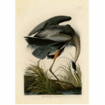 Audubon Great Blue Heron Marsh Bird Cutout<br><div class="desc">Audubon Birds of America Prints - the Great Blue Heron John James Audubon was one of the America's great naturalists, documenting hundreds of birds species with great precision as he made his way across America and drew in detail the wild birds of America. Audubon then published lithographs of his scientific...</div>