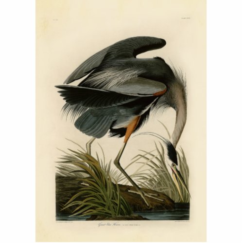 Audubon Great Blue Heron Marsh Bird Cutout