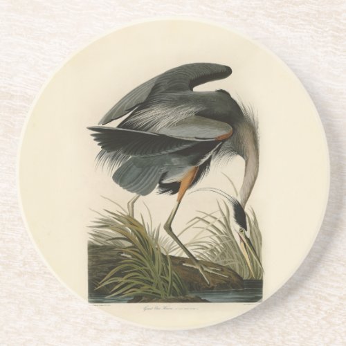Audubon Great Blue Heron Marsh Bird Drink Coaster