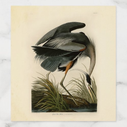 Audubon Great Blue Heron Marsh Bird Envelope Liner