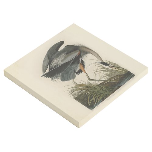 Audubon Great Blue Heron Marsh Bird Gallery Wrap