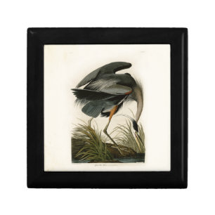 Audubon Great Blue Heron Marsh Bird Gift Box