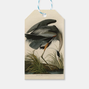 Audubon Great Blue Heron Marsh Bird Gift Tags