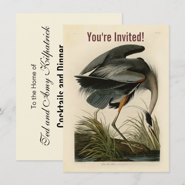 Audubon Great Blue Heron Marsh Bird Invitation (Front/Back)