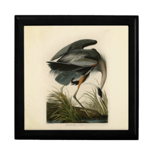 Audubon Great Blue Heron Marsh Bird Keepsake Box