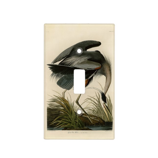 Audubon Great Blue Heron Marsh Bird Light Switch Cover (Front)