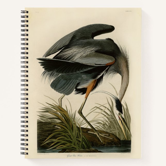 Audubon Great Blue Heron Marsh Bird Notebook (Front)