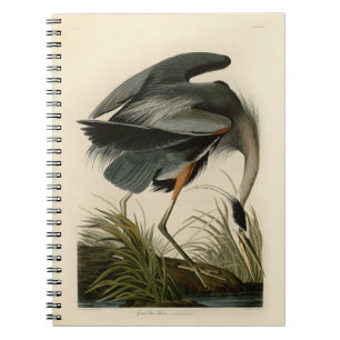 Audubon Great Blue Heron Marsh Bird Notebook