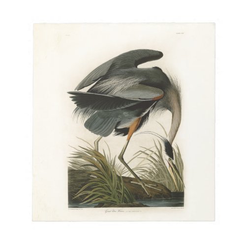 Audubon Great Blue Heron Marsh Bird Notepad