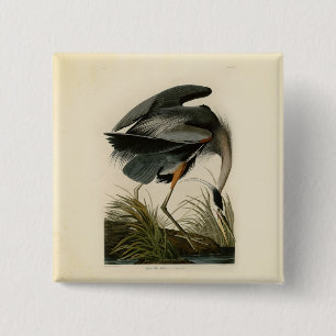 Audubon Great Blue Heron Marsh Bird Pinback Button