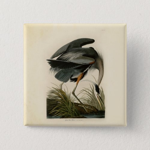 Audubon Great Blue Heron Marsh Bird Pinback Button