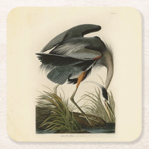 Audubon Great Blue Heron Marsh Bird Square Paper Coaster