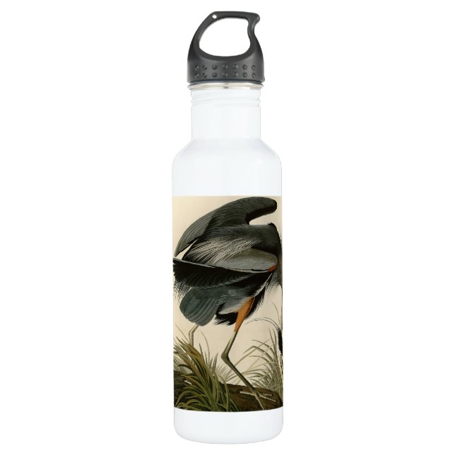 Audubon Great Blue Heron Marsh Bird Stainless Steel Water Bottle (Front)