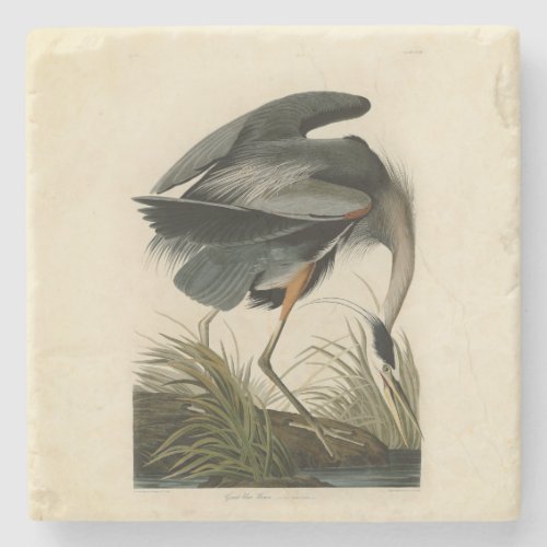 Audubon Great Blue Heron Marsh Bird Stone Coaster