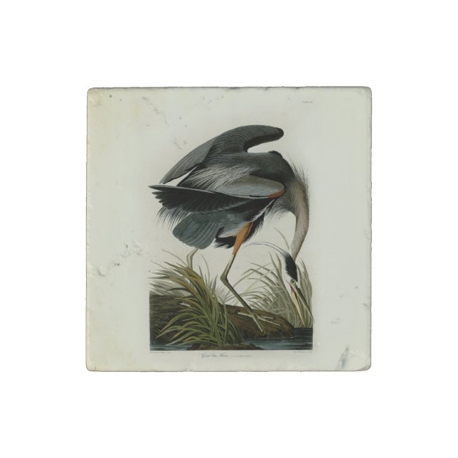 Audubon Great Blue Heron Marsh Bird Stone Magnet (Fourth Magnet)