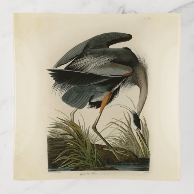 Audubon Great Blue Heron Marsh Bird Trinket Tray (Front)