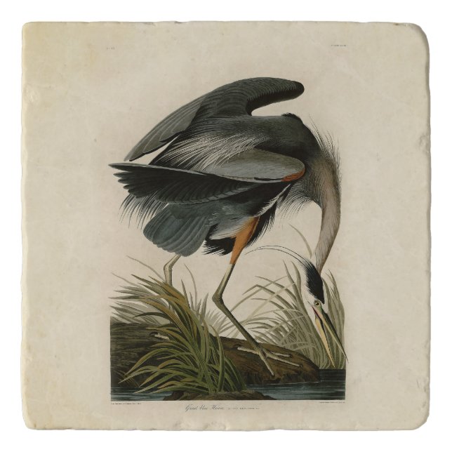 Audubon Great Blue Heron Marsh Bird Trivet (Front)
