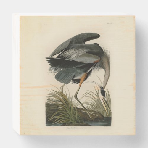 Audubon Great Blue Heron Marsh Bird Wooden Box Sign