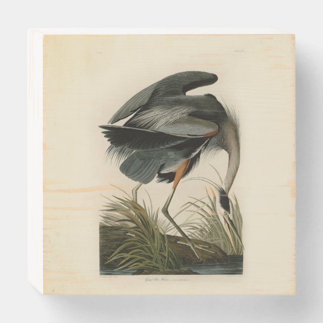 Audubon Great Blue Heron Marsh Bird Wooden Box Sign (Front Horizontal)