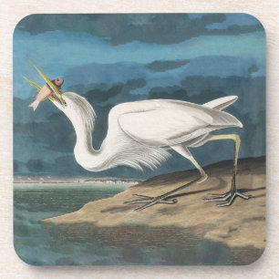 Audubon Great White Heron: Vintage Coastal Bird Beverage Coaster