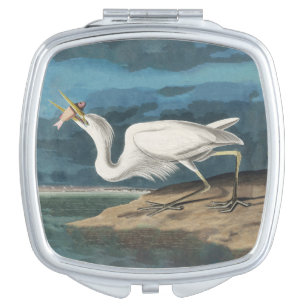 Audubon Great White Heron: Vintage Coastal Bird Compact Mirror