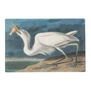 Audubon Great White Heron: Vintage Coastal Bird Placemat