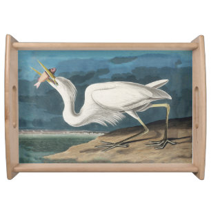 Audubon Great White Heron: Vintage Coastal Bird Serving Tray