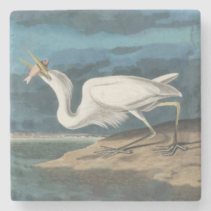 Audubon Great White Heron: Vintage Coastal Bird Stone Coaster
