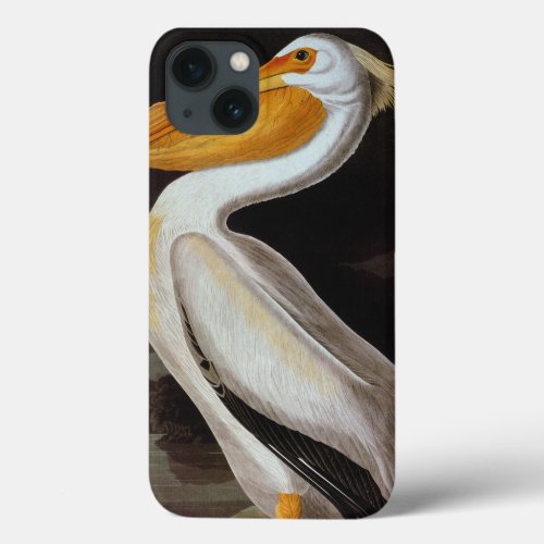 Audubon Great White Pelican iPhone 13 Case
