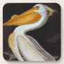 Audubon: Great White Pelican Drink Coaster