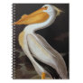Audubon: Great White Pelican Notebook