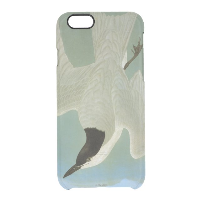 Audubon: Gull-Billed Tern Uncommon iPhone Case (Back)