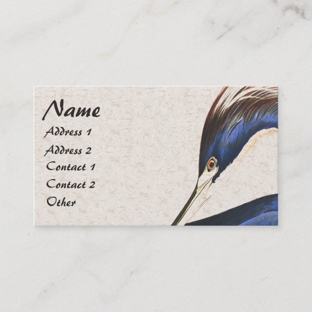 Audubon Heron Bird Wildlife Animal Business Card (Front)