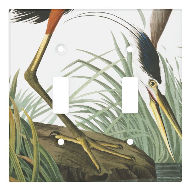 Audubon Heron Bird Wildlife Light Switch Cover (Front)
