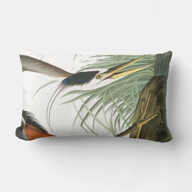 Audubon Heron Bird Wildlife Lumbar Pillow (Front)
