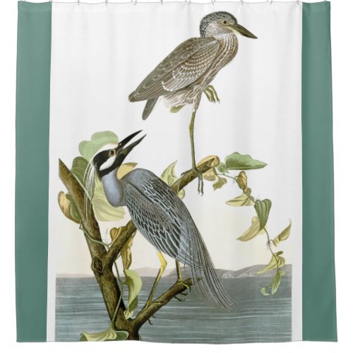 Audubon Heron Birds Animal Wetlands Shower Curtain