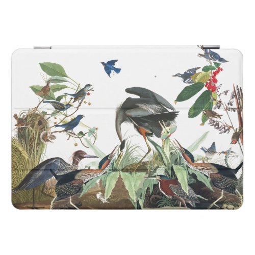 Audubon Heron Birds Waterfowl iPad Pro Case