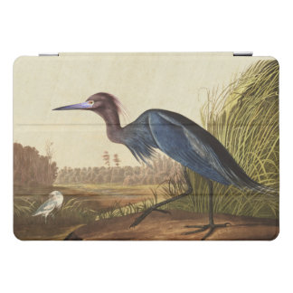 Audubon Heron Birds Wildlife Animal iPad Pro Case