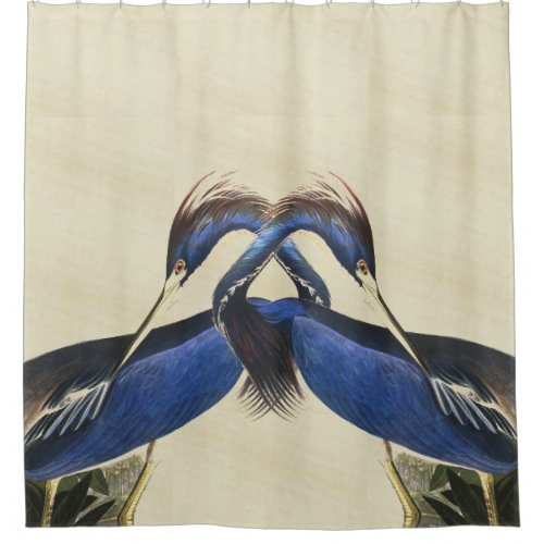 Audubon Heron Birds Wildlife Animal Shower Curtain