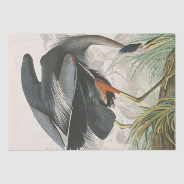Audubon Heron Birds Wildlife Animal Tissue Paper (Front)
