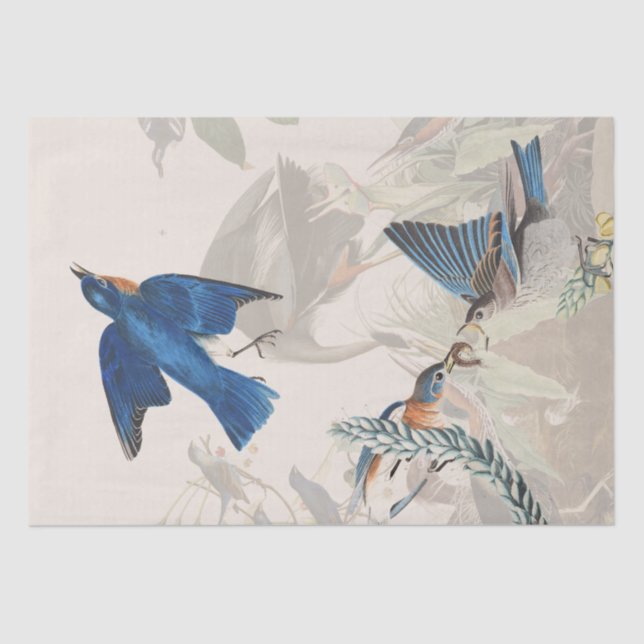 Audubon Heron Bluebird Birds Wildlife Tissue Paper (Front)