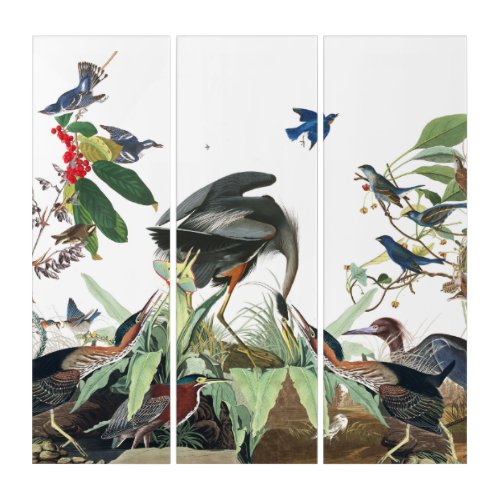 Audubon Heron Loon Bluebird Bird Collage Wall Art