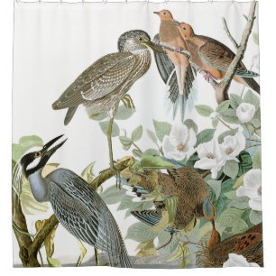 Audubon Herons & Dove Birds Animal Shower Curtain