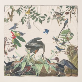 Audubon Herons Song Birds Wildlife Chiffon Scarf