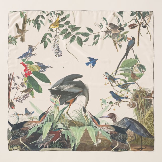 Audubon Herons Song Birds Wildlife Chiffon Scarf (Front (Horizontal))