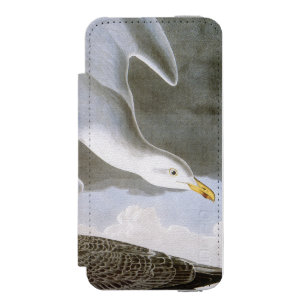 Audubon: Herring Gull iPhone SE/5/5s Wallet Case