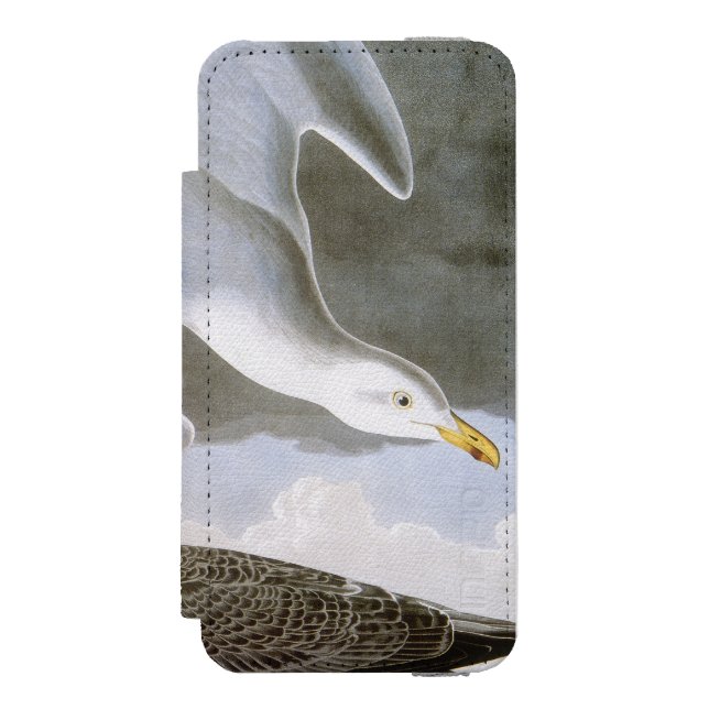 Audubon: Herring Gull Incipio iPhone Wallet Case (Folio Front)
