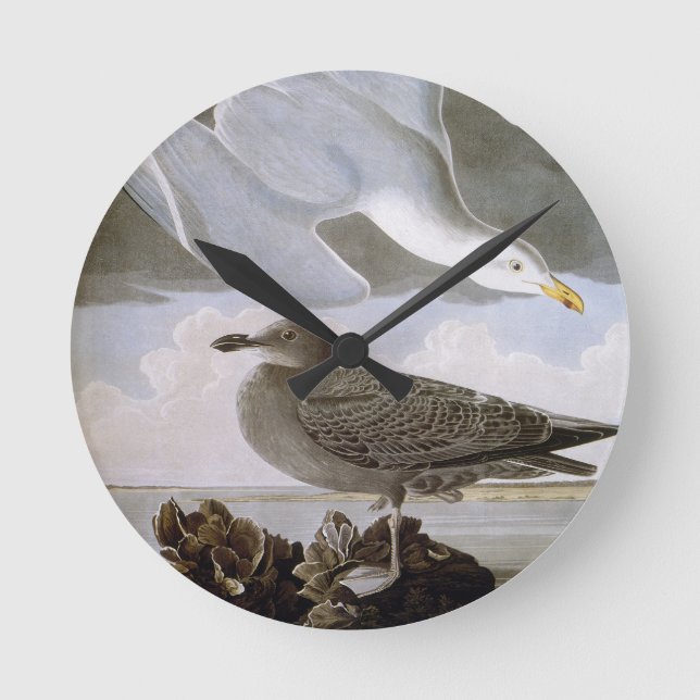 Audubon: Herring Gull Round Clock (Front)